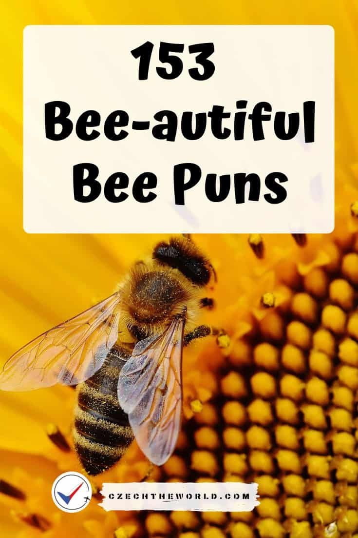 a bee sitting on top of a sunflower next to the words, 75 beautiful bee puns