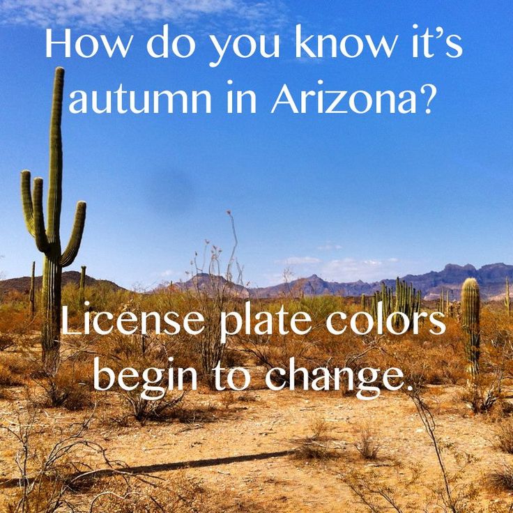 an image of a desert scene with the words how do you know it's autumn in arizona?