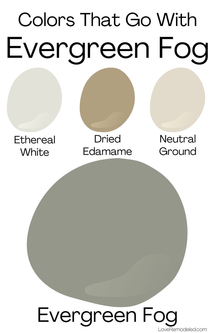 the colors that go with evergreen fog and other neutral hues are in this color scheme