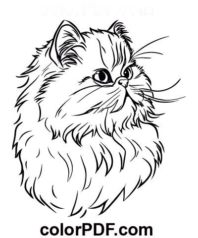 a black and white drawing of a cat's face with the word color df on