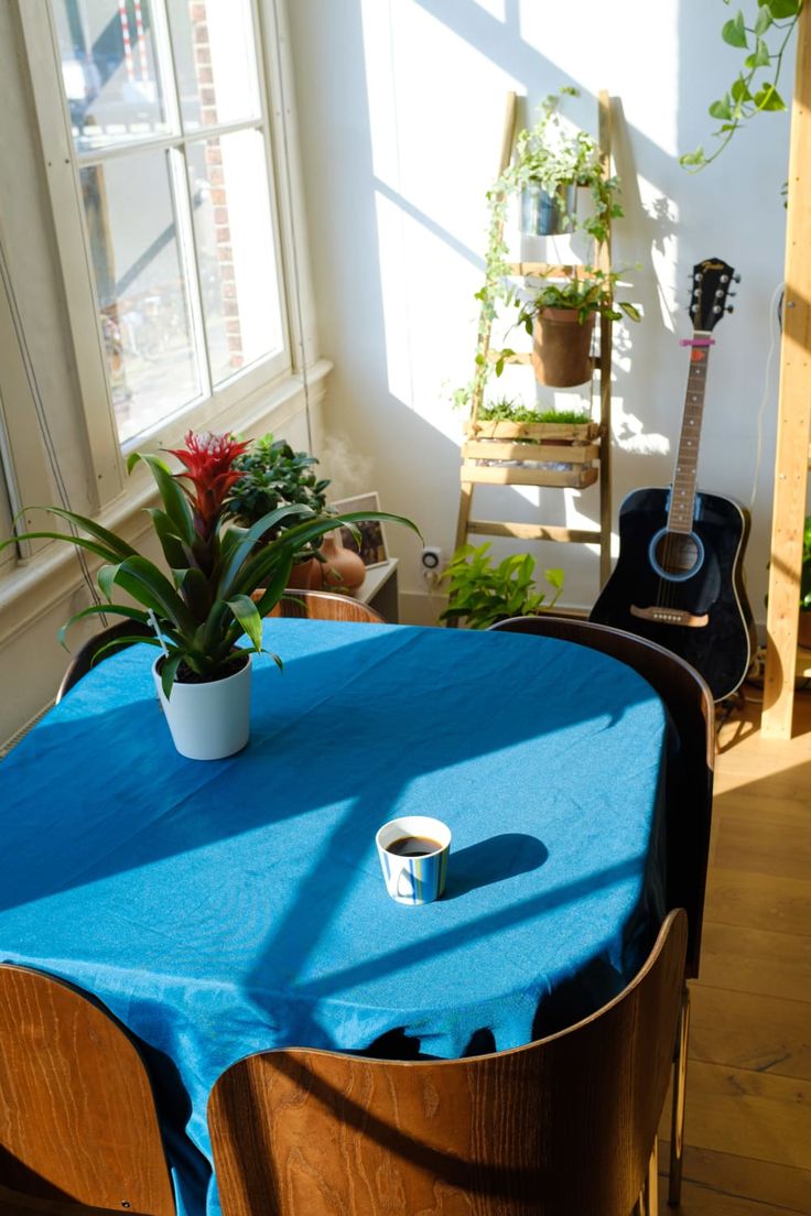 a blue table cloth on top of a wooden chair next to a potted plant