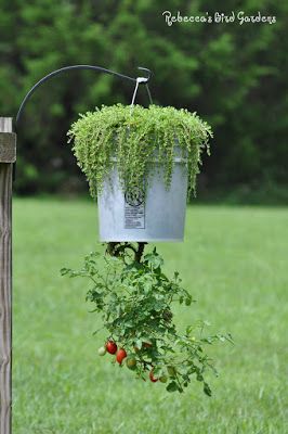 a hanging planter filled with plants in the grass