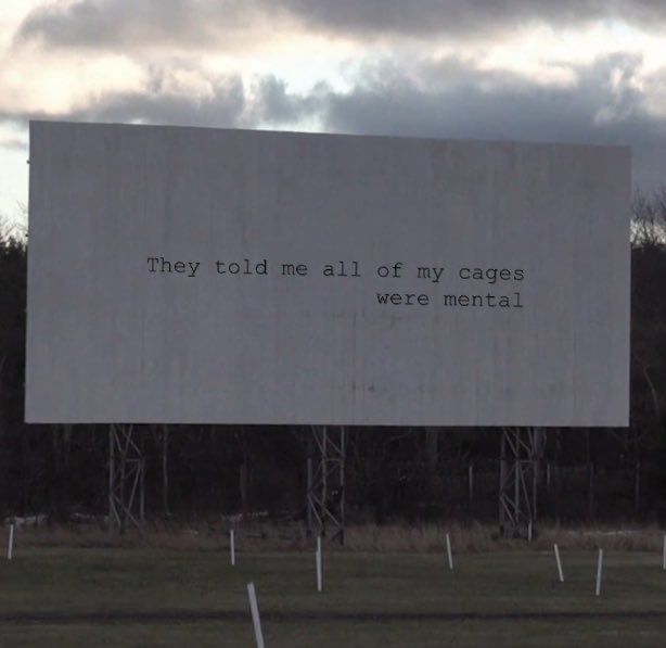 there is a large billboard on the side of the road that says they told me all of my cages were mental