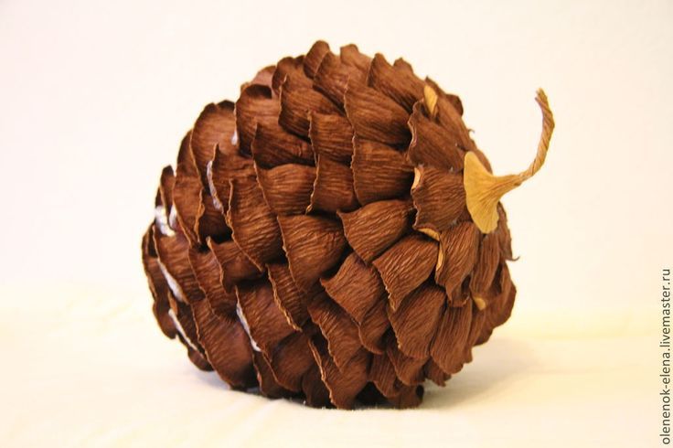 a brown pine cone sitting on top of a white table