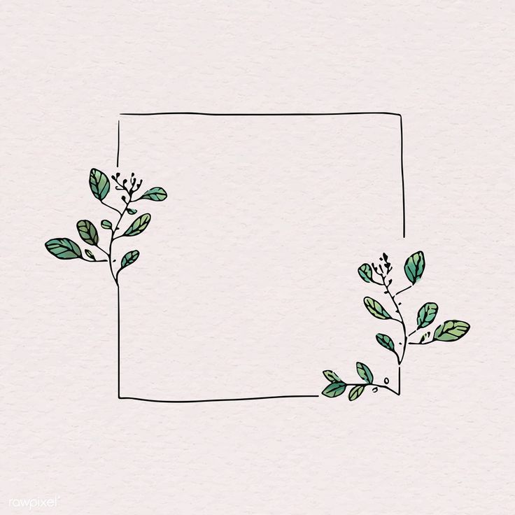 a square frame with green leaves and branches on the corner, drawn in watercolor