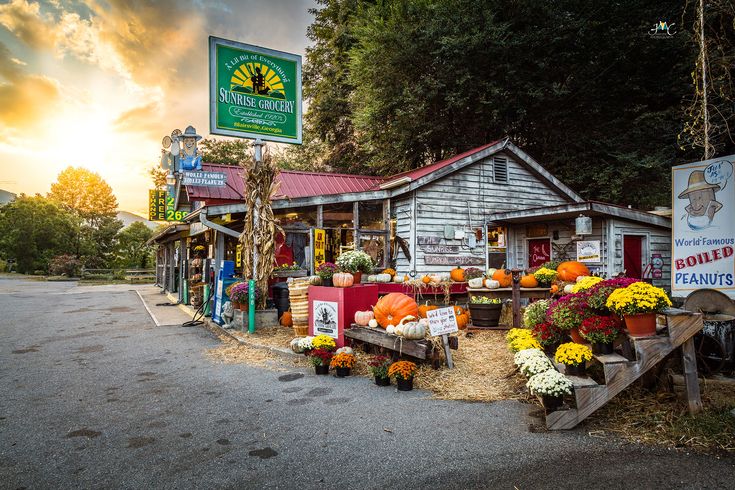 an outdoor market with flowers and pumpkins on display