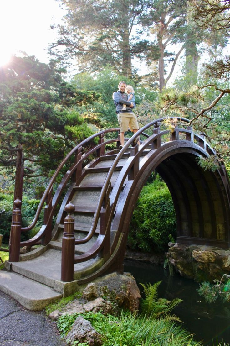 a set of stairs leading up to a small waterfall in a garden with trees and rocks