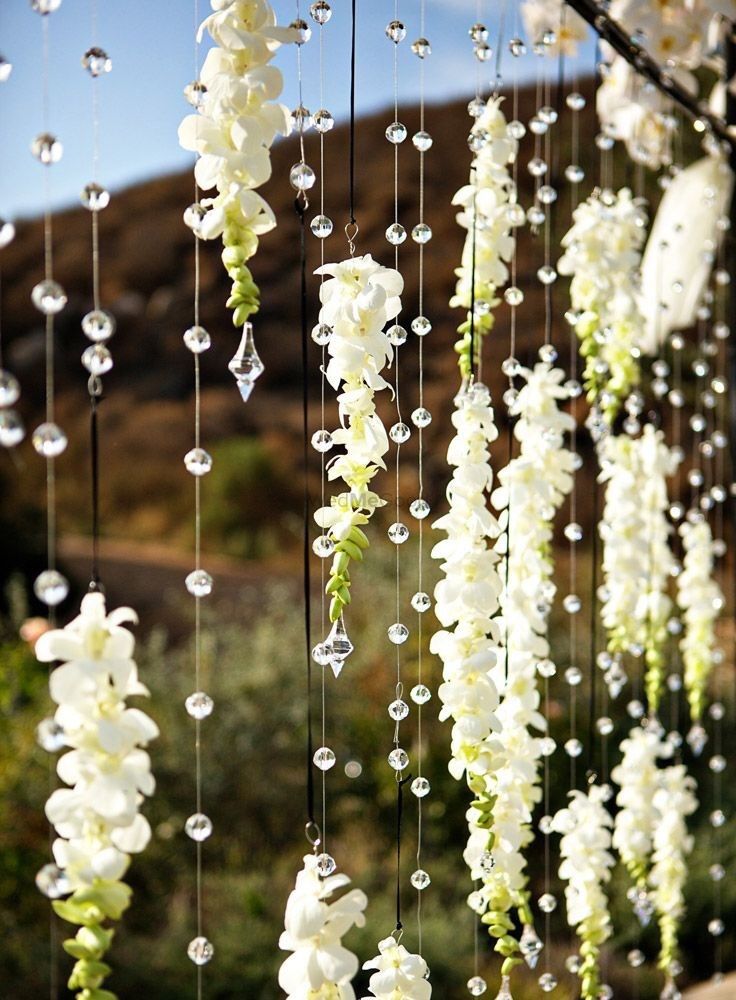 an instagram page with flowers hanging from it