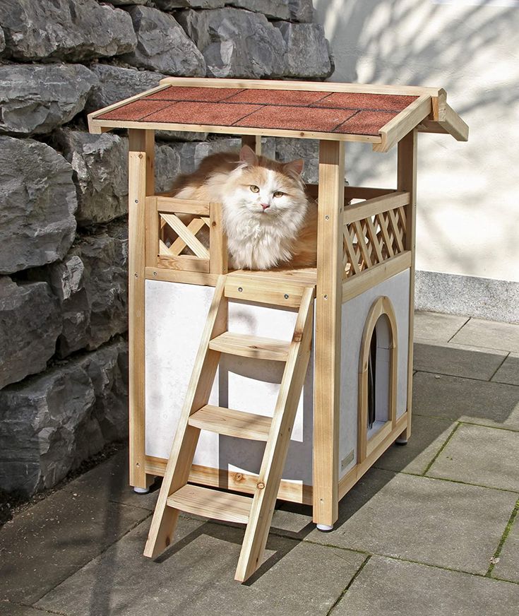 a cat sitting on top of a pet house next to a stone wall and ladder