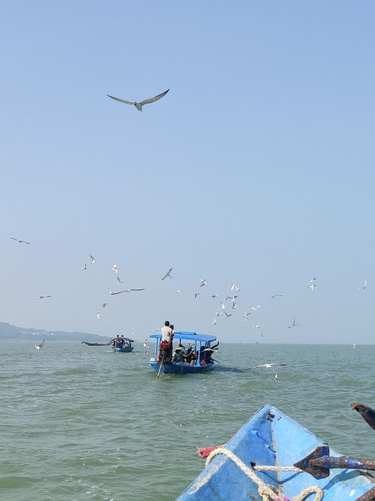 seagulls are flying over the ocean while people row their boats in the water