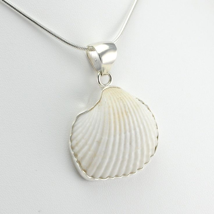 Alt View White Ark Shell Pendant Silver Snake Chain, Shell Pendant, Snake Chain, Bezel Setting, Shells, 925 Sterling Silver, Pendant Necklace, Gemstones, Sterling Silver