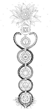 the seven chakras are depicted in this black and white drawing, which is part of