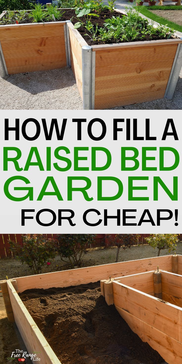 how to fill a raised bed garden for cheap with pictures and instructions on how to build it