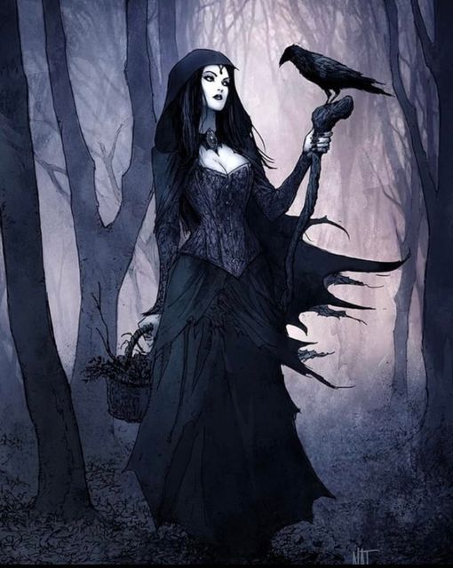 a woman in a black dress holding a raven on her arm and standing in the woods