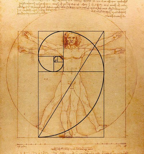 an old book with a drawing of a man's body in the center and a golden rectangle around it