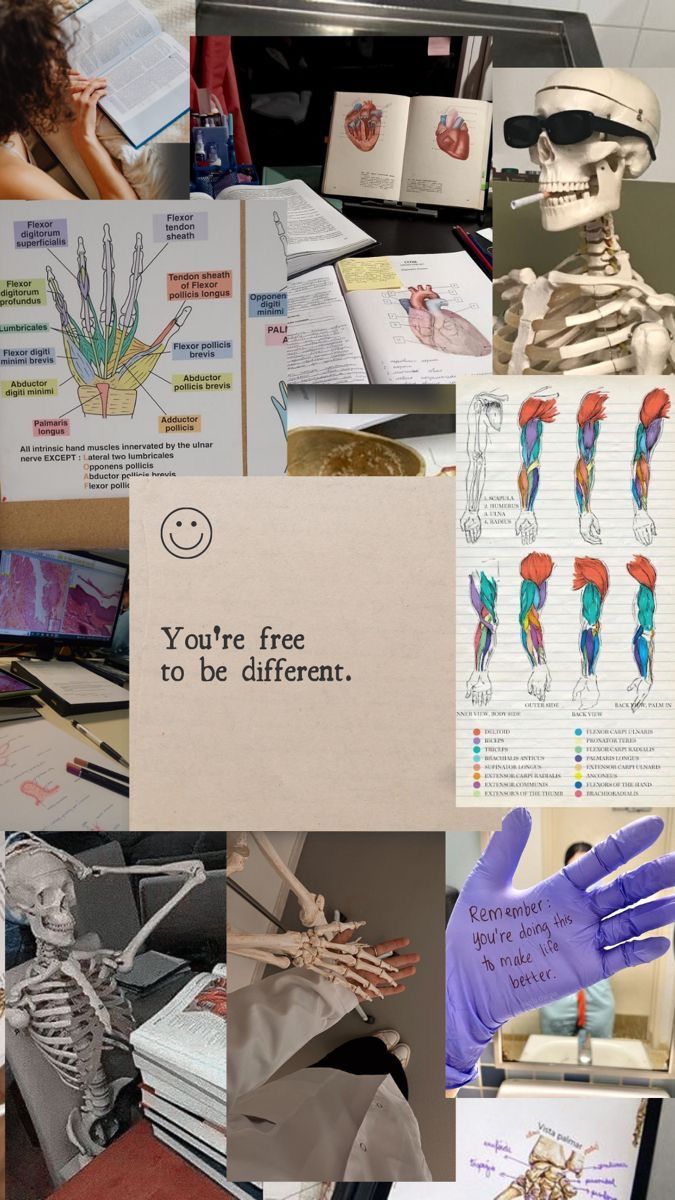 Physiotherapy Doctor Wallpaper, Orthopaedics Aesthetic, Physical Therapy Student Graduation Pictures, Athletic Therapist Aesthetic, Physiotherapist Aesthetic Wallpaper, Physiotherapy Vision Board, Pt Student Aesthetic, Physical Therapy Assistant Aesthetic, Physiotherapy Wallpaper