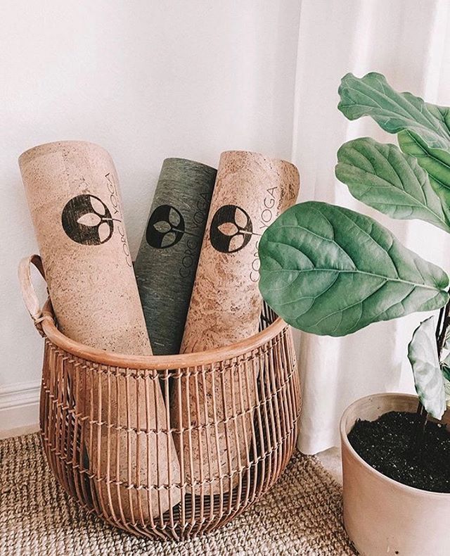 three wine corks in a basket next to a potted plant