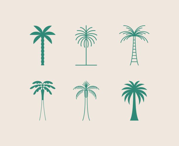 palm trees in different shapes and sizes on a beige background with green accents, set of four silhouettes