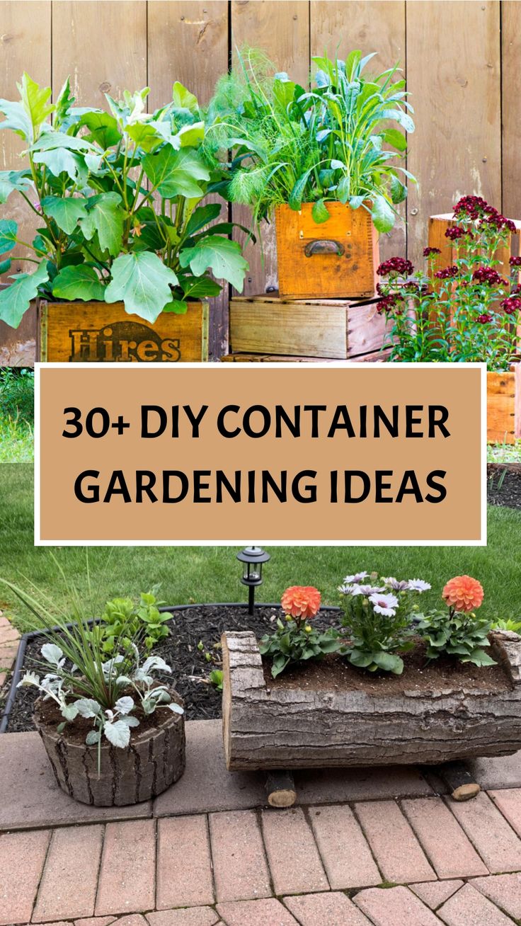 30+ DIY Container Gardening Ideas Container Garden Design Layout, Patio Container Gardening Ideas, Potted Garden Ideas, Pot Garden Ideas, Raised Container Garden, Gardening Containers, Patio Container Gardening, Diy Container, Diy Container Gardening