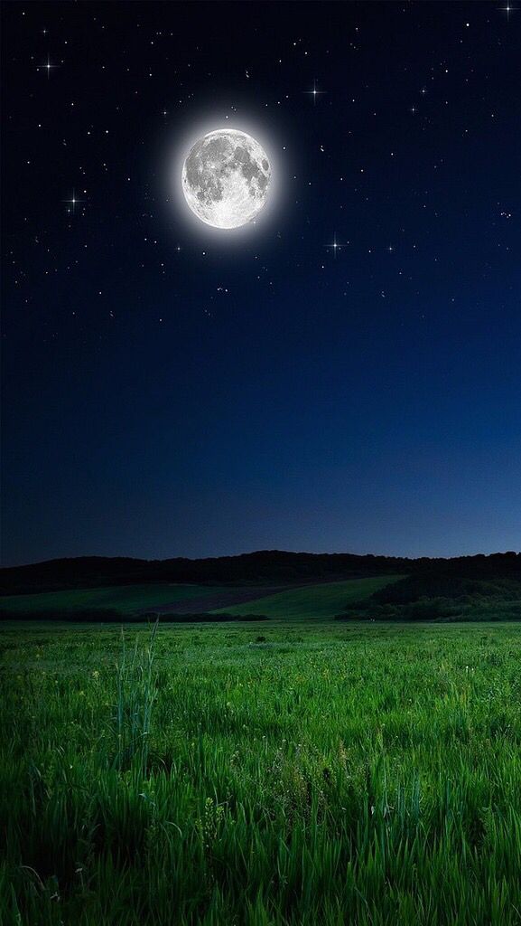 the full moon shines brightly in the night sky over an open field with tall grass