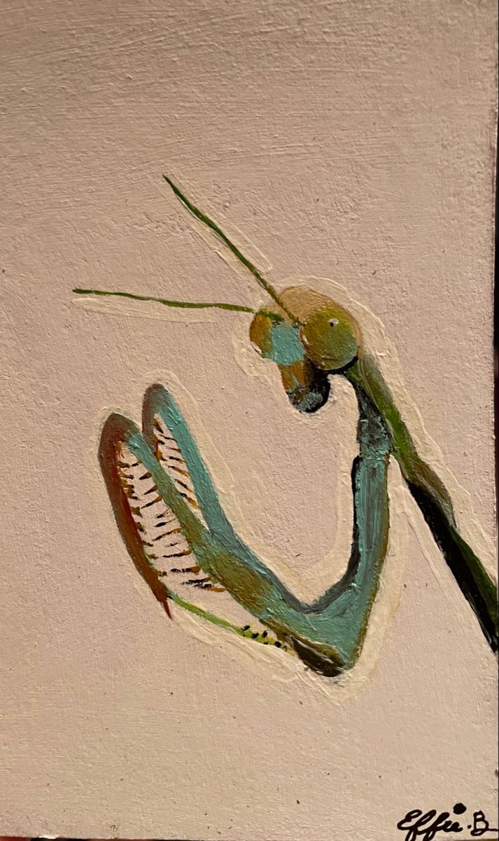 a painting of a green mantissa on a white wall