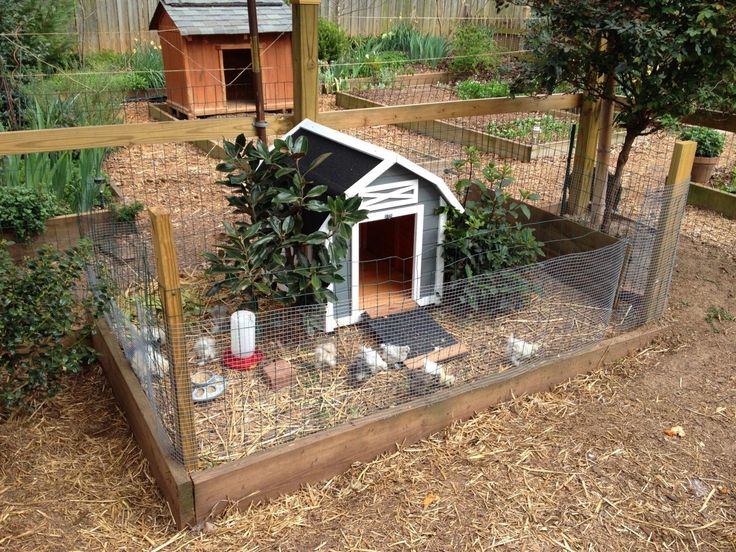 a chicken coop with chickens in it on the ground next to some trees and bushes