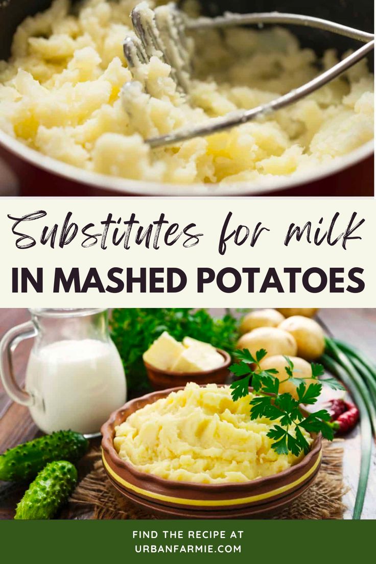 mashed potatoes in a bowl with text overlay that reads, substitutes for milk in mashed potatoes