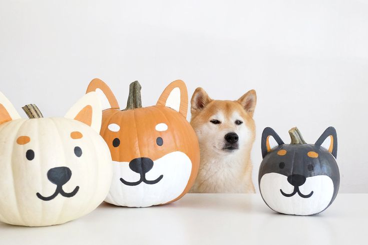 three pumpkins with dogs and cats painted on them