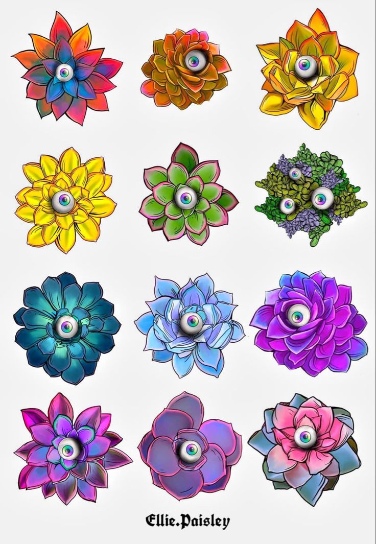 an assortment of colorful flowers on a white background