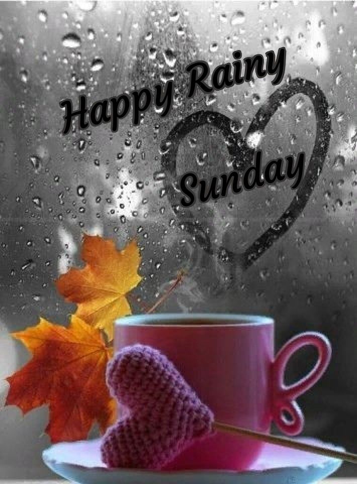 a cup and saucer on a plate with an autumn leaf next to it that says happy rainy sunday