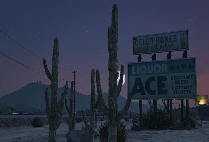 an image of a street sign in the desert at night with lights on and cacti growing next to it