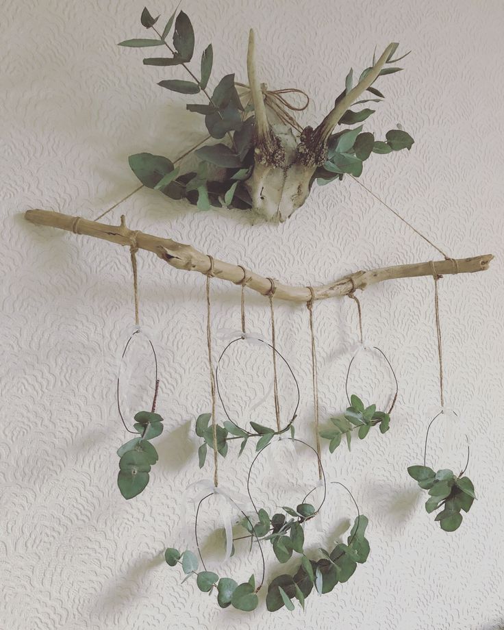 an arrangement of plants and branches hanging on the wall next to a branch with leaves