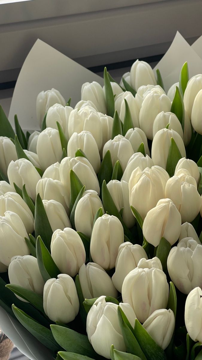 a bunch of white tulips are in a vase