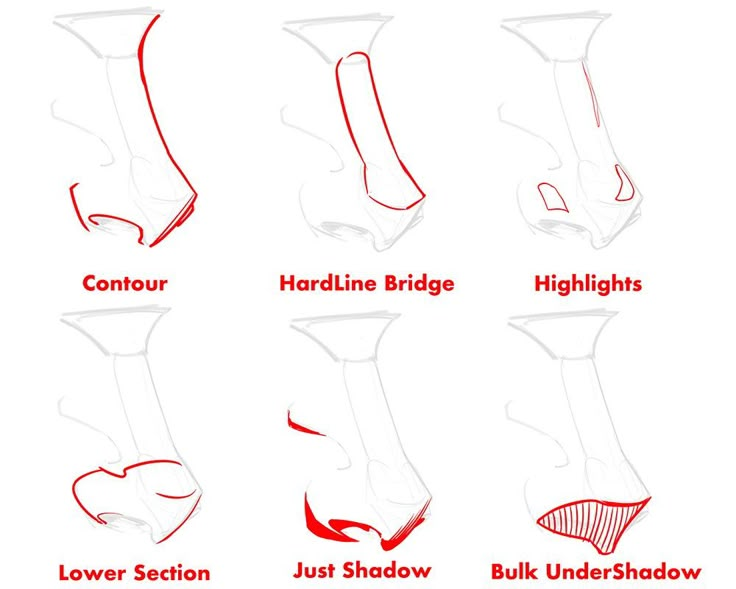 the different types of foot shapes and how to use them for each type of shoe