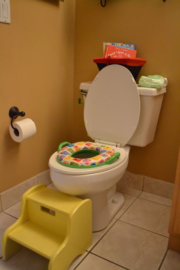 a child's potty seat sits next to a toilet in a small bathroom