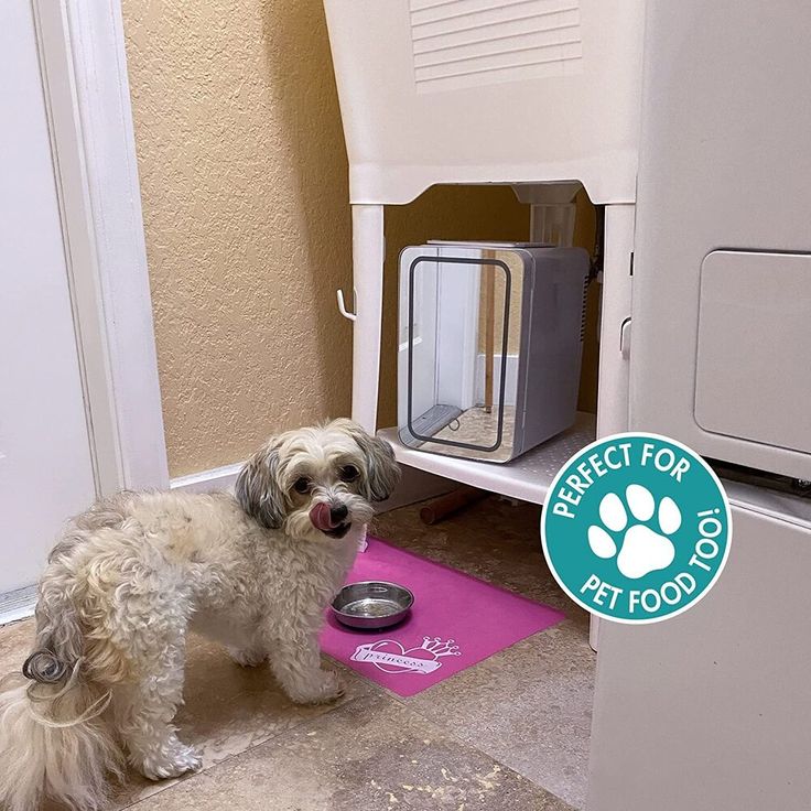 a small dog standing in front of a food dish on the floor next to a refrigerator