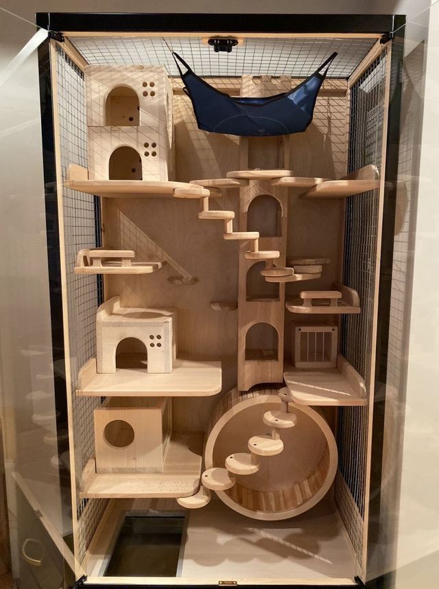 a cat house made out of wood in a glass case with shelves and stairs on each side