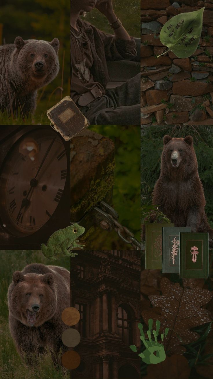 Big brown bear with fuzzy brown fur, collage with dark green and brown, stickers with cohesive colours Brown Aesthetic Bear, Bear Moodboard, Aesthetic Bear, Bear Aesthetic, Forest Aesthetic, Aesthetic Forest, Grizzly Bear, Brown Aesthetic, Brown Bear