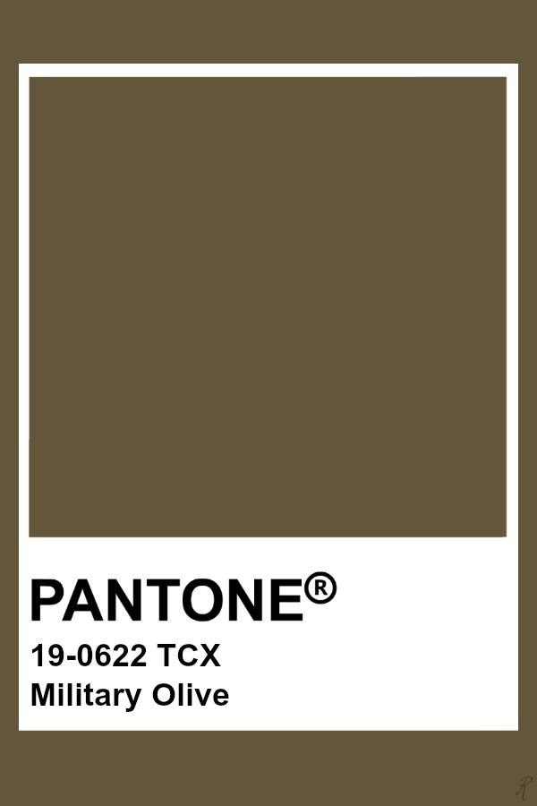 Pantone Military Olive Military Color Palette, Pantone Brown Shades, Olive Pantone, Gray Pantone, Brown Pantone, Pantone Tcx, Pantone Colours, Pantone Color Chart, Pantone Swatches