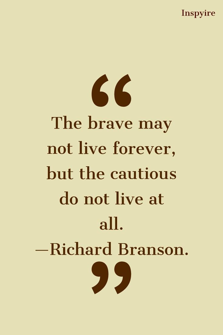 a quote that says, the brave may not live forever, but the curious do not live at all