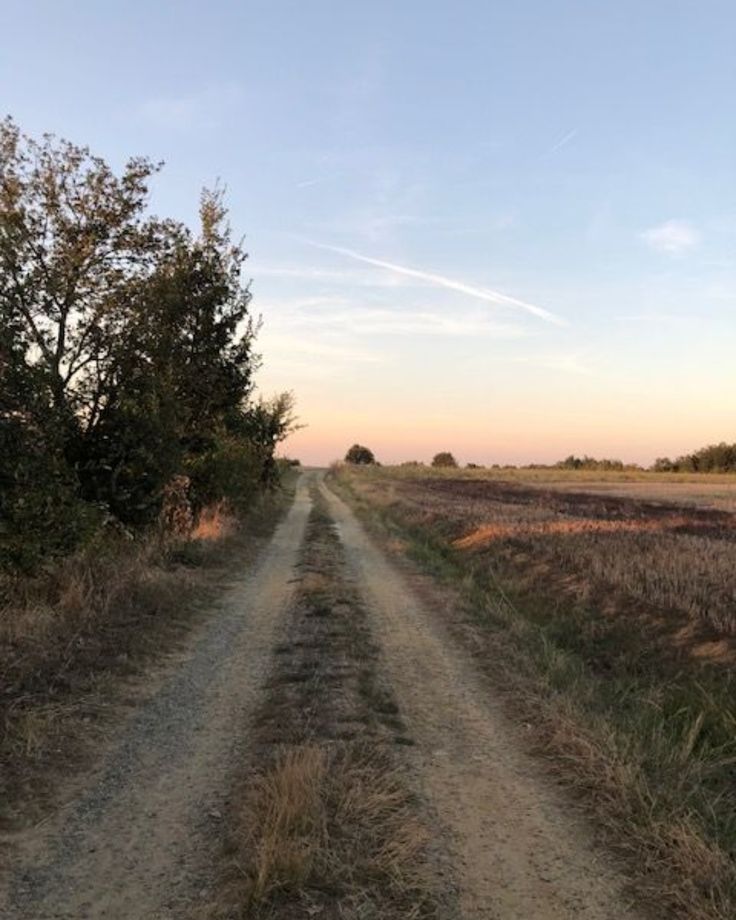 an empty dirt road in the middle of a field