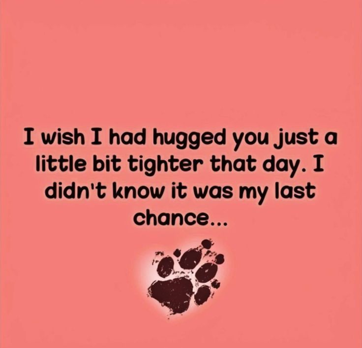 a dog paw with the words i wish i had hugged you just a little bit higher that day