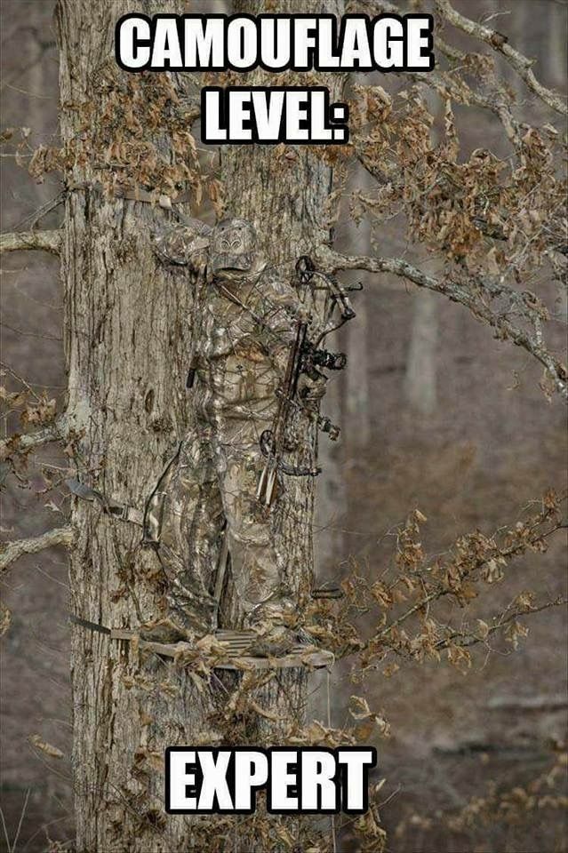 an image of a tree with the words camouflage level expert on it's side