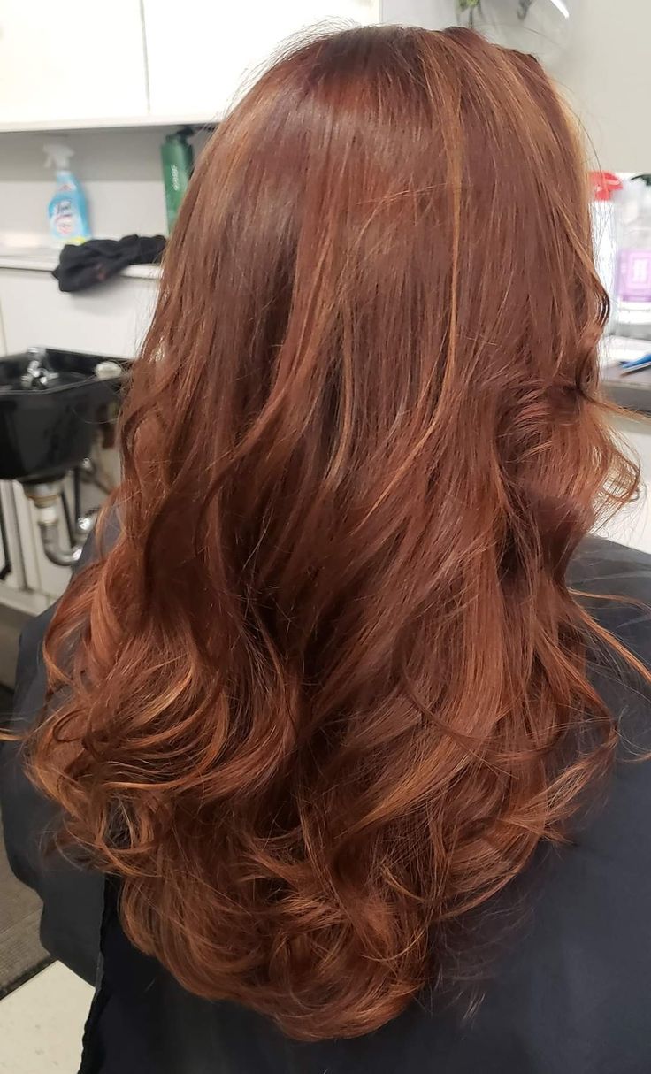 Copper Hair Inspo Aesthetic, Auburn Hair With Subtle Highlights, Hair Color Ideas For Gueritas, Copper Red Brunette Hair, Copper Hair W Highlights, Hair Color Ginger Brown, Light Brunette Hair With Red Undertones, Auburn With Lowlights, Ginger Hair On Brown Hair