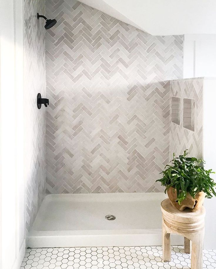 a bathroom with a tub, toilet and potted plant on the side walk in shower