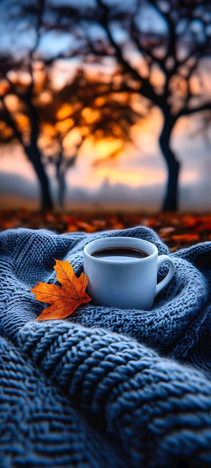 a cup of coffee sitting on top of a blanket next to a tree in the background