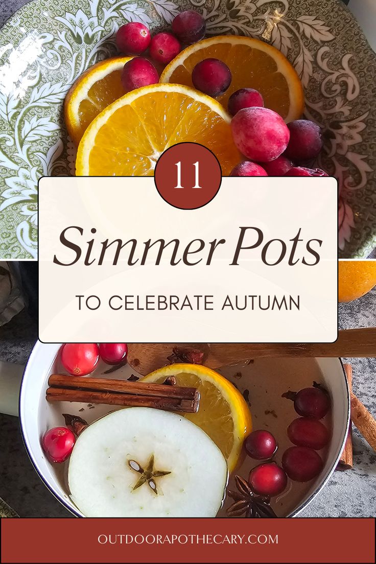 an autumn pot filled with oranges, apples and cinnamon on top of a table