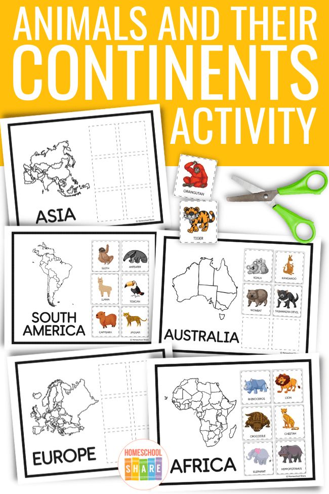 animals and their continents activity for kids