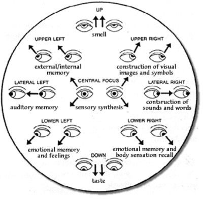 an eye diagram with all the different parts labeled in each circle, including eyes and their corresponding