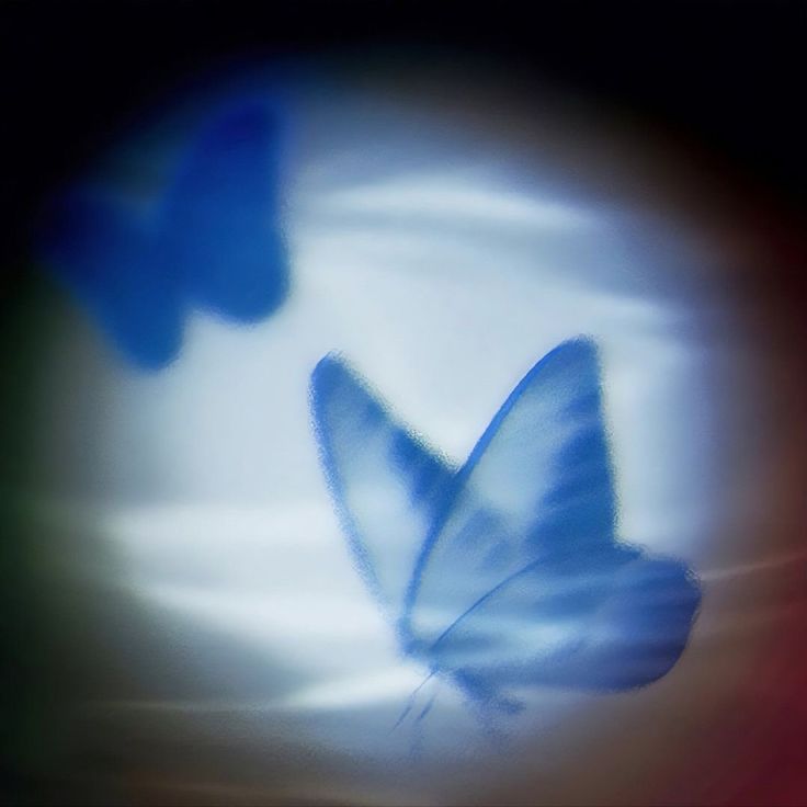 two blue butterflies flying in the sky with blurry colors on it's wings